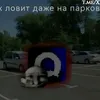 sfxarkhiv