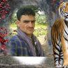 user1057124360655