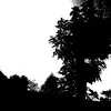 m_zaka22