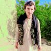 chenarhalak786