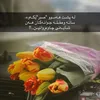 sayran837