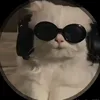 h.o_7a9