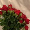 ma_71171