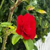 lamar_moussa123