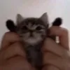 ~