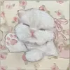 not_rux0