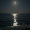 mohamedbadwy258