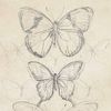 iibutterflyff