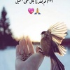 nada.ibrahem26