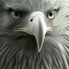 aguil_a