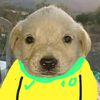 pepito_waza0
