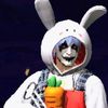 conejo_ff38