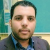 hassan.seifelnasr