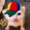 omg_sei_la2.1_lilke