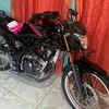 rendii_2740