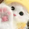 bunnydayy91