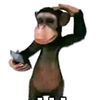 rasetyo_44