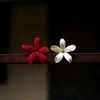 sithumi928