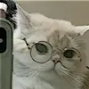 renzky013