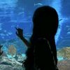 asyaa_4561