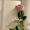 amalzainab6