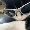 its_me_kitty10