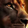 .wissam.02