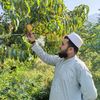 abdul.basit.baloc83