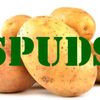 spud3975