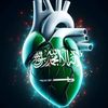 abo.mohamed737