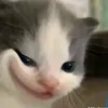 tinds