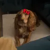 edits.account.com