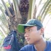 cahyo07_
