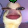 lyy_ajaa4