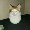 skibidimaster22