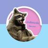 raccoon_socute