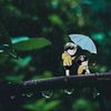 anh.vu927