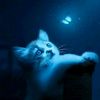 _story_biru_