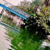 user1723007619826