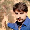 meerayazali110