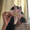 slvrqsi