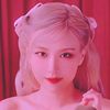 rose2836628