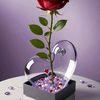 user3382198050056
