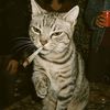 lilseham7