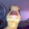 kevin.aguilera025