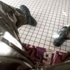user6219973033117