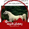 mouradghazouani73