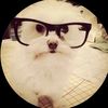 awesomeesaucegirl