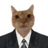 umserobservadora