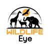 Wildlife Eye